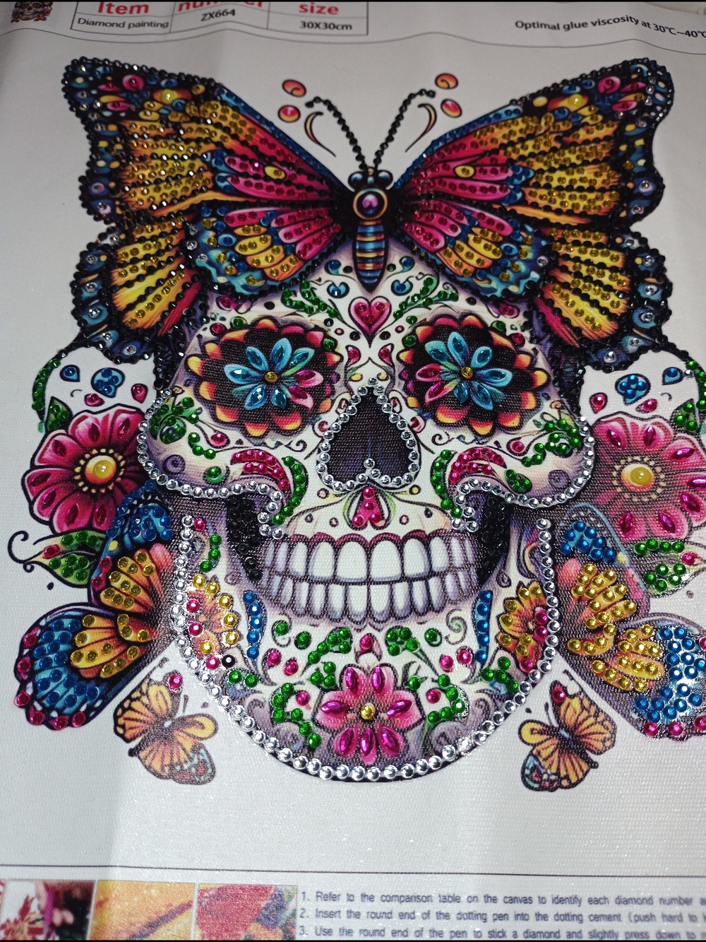 Butterfly Skull Wall Diamond Art -Homemade